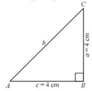 9th Math 6.5 Q 2(ii)